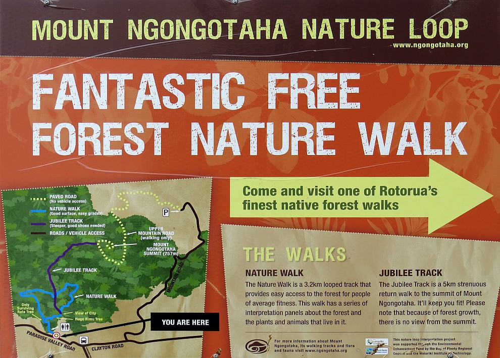 Mount Ngongotaha Nature Loop